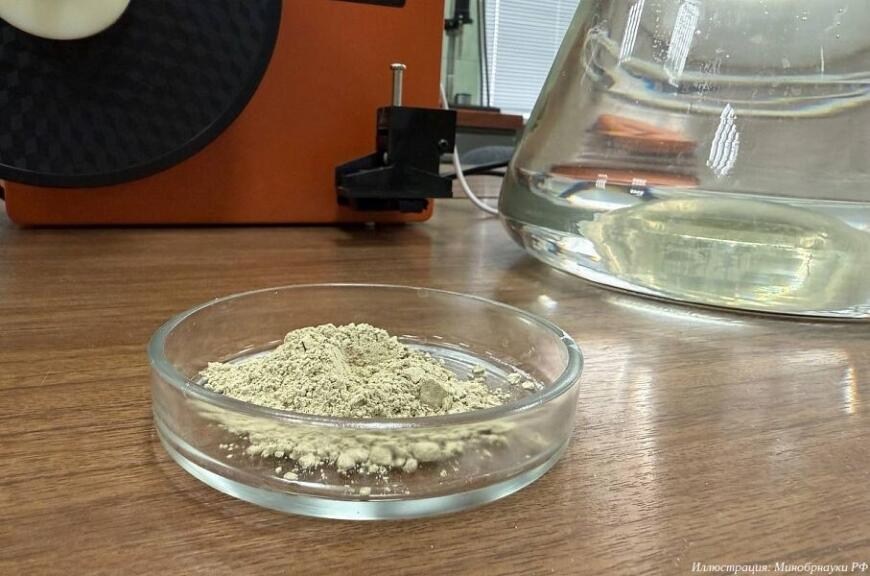 Белгородские ученые разрабатывают композиционные материалы из натурального сырья